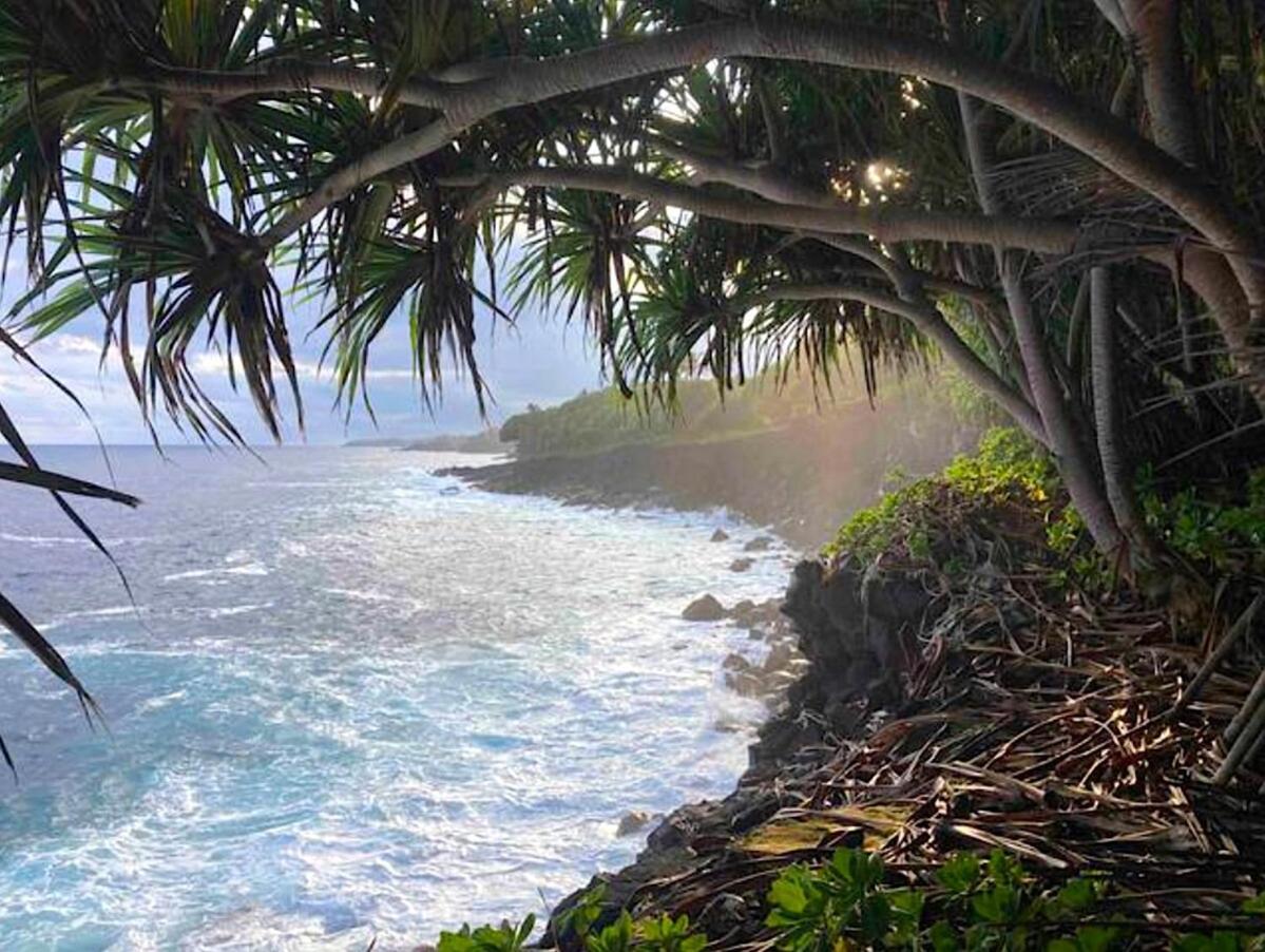 Seaside House And Aloha Bungalow Pahoa Exterior photo